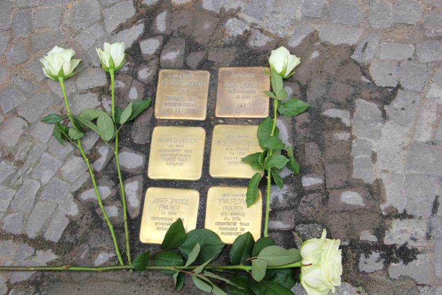 çiçek, çiçekli desen, yer, bitki içeren bir resim