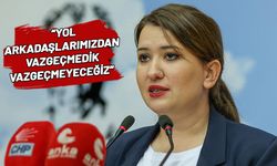'Kurultay iptali' davası sonrası Gökçe Gökçen'den sert gönderme