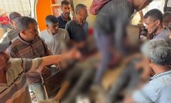 İsrail yardım bekleyenlere gaz sıktı, çok sayıda Filistinli boğularak can verdi
