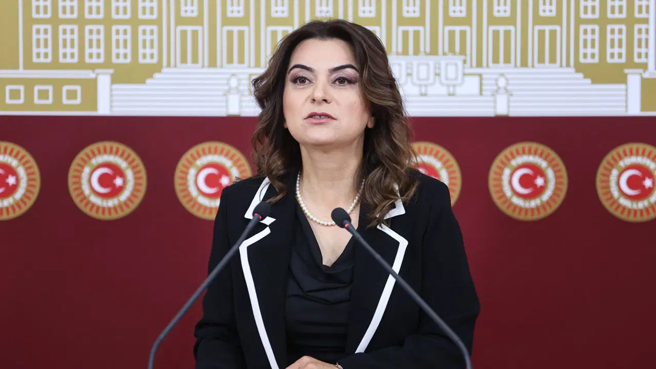 DEM Parti: Yangınların en büyük sorumlusu AKP'dir