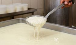 Krema ve kaymak üretiminde yeni düzenleme: Artık tek yağ ile üretilecek