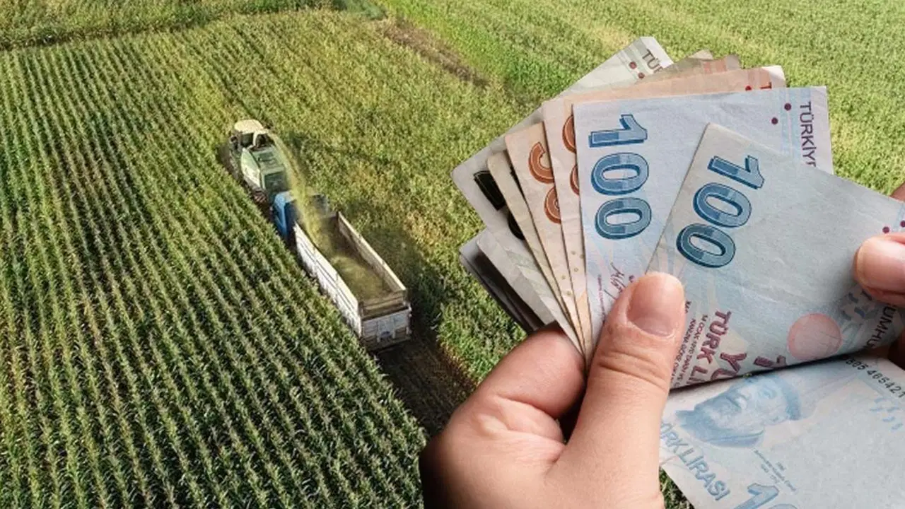 CHP'li isimden, hükümete çağrı: 'En az bir yıl süreyle faizsiz ertelenmeli...'