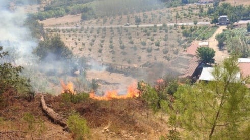 Sındırgı’da orman yangını: Havadan ve karadan müdahale ediliyor