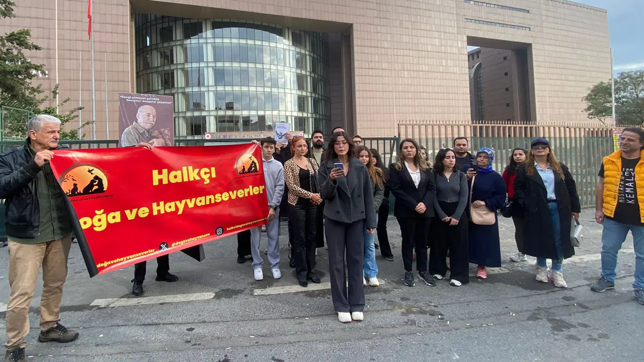 Bakırköy Adliyesi'nde 'kedi' kararı geri çekildi