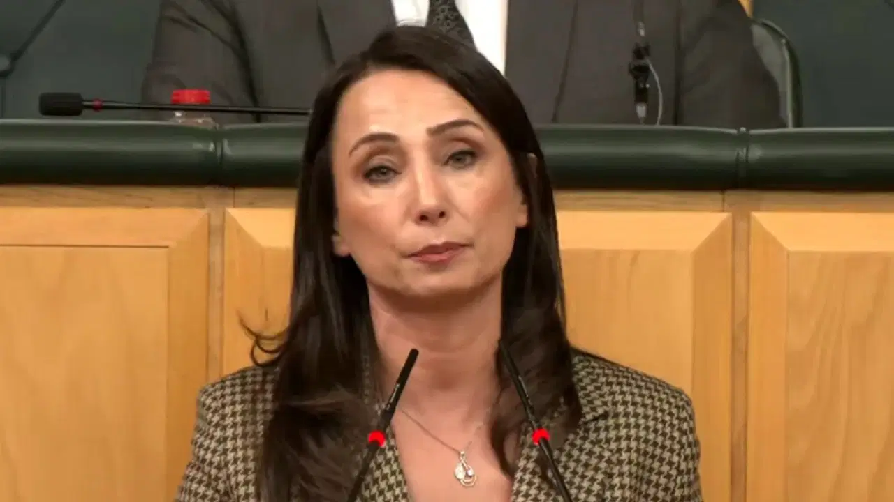 DEM Parti'den iktidara: 'Yargıyı siyasallaştıran sizsiniz'