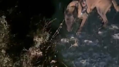 Muğla'da uyuşturucu operasyonunda 4 tutuklama