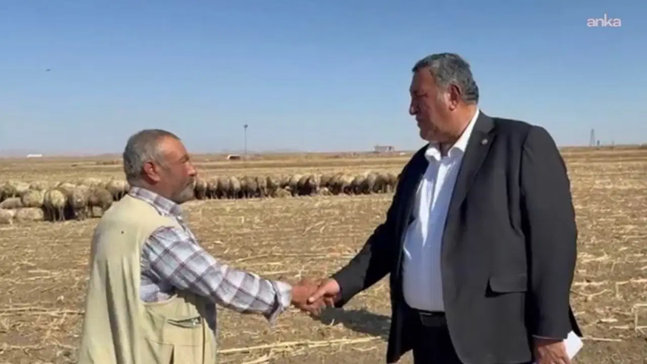 CHP'li Gürer: 'Hayvan varlığının azalmasıyla ortaya çıkan sorunlar ithalatla kapatılmaya çalışılıyor'