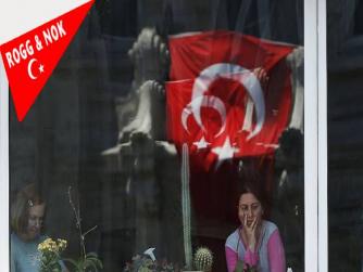OECD ülkelerinde istihdam, işsizlik ve işgücüne katılma oranları: Türkiye ne durumda?