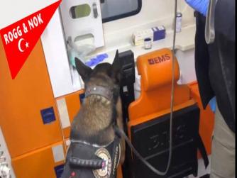 Balıkesir'de Tepe Lambası Yanan Ambulansla Uyuşturucu Operasyonu