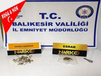  Ayvalık'ta 'sihirli mantar' operasyonu
