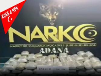 Adana'da 123 kilo skunk ele geçirildi, 2 kişi tutuklandı.