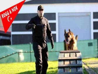 En sadık dostlarımız ve ihanet etmeyen arkadaşlarımız, evet, Trabzon'da narkotik köpekleri uyuşturucu satıcılarının kabusu
