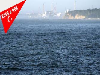 Japonya'da 7,4 büyüklüğündeki deprem sonrası tsunami uyarısı