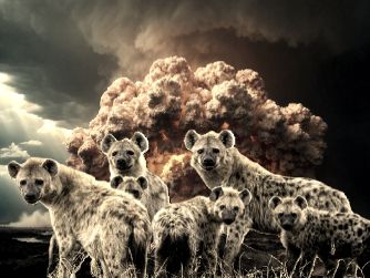 Medya Ve İstihbarat Olgusunda Çakallar İle Yapılan Kara Propaganda Çerçevesinde Oluşan Ters, Yüz Politik Çıkarımlar