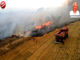 Yangınları Meteorolojik Koşullar Değil, İnsanın Neden Olduğu Faaliyetleri Çıkarmaktadır