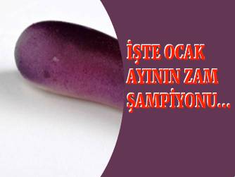 Ocak Ayının Kazandıranı Borsa Oldu