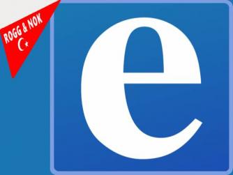 Vatandaş: Türkiye’den estenseler ; 