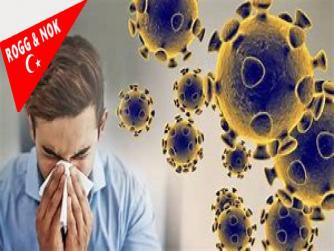 Ülkemiz Haricinde diğer bazı ülkeler geçici çözümü buldu! Bağış yok evde kalanlara para var…  