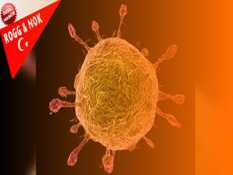 How SUN Exposure Affects your Coronavirus Risks:
