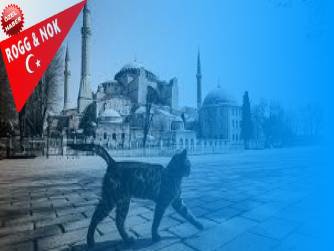 Zeki Sarıhan: KORONA SALGINININ ÖĞRETTİKLERİ