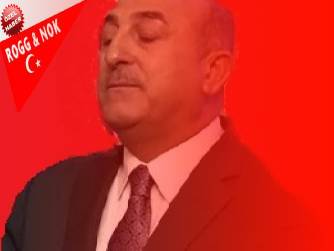 Neydi o yıllar ne olduk 2014 TÜRK DIŞ POLİTİKASI YILLIĞI 