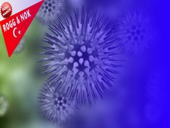 Prof. Dr. İbrahim Ortaş: Virüs Salgını İle Mücadelede Bilimin ve Araştırmanın Önemi ve Geleceği Bugünden Planlamak
