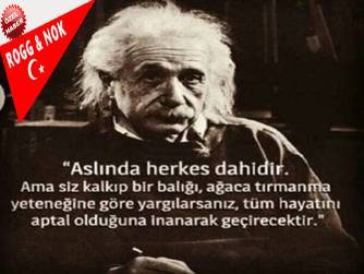 Serendip Altındal: KADER UTANSIN..
