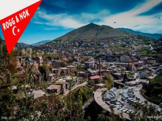 Bitlis'te uyuşturucu operasyonunda 3 kişi gözaltına alındı