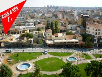 Gaziantep'te uyuşturucu operasyonunda 31 şüpheli yakalandı