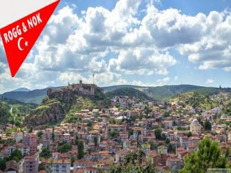Kastamonu'da uyuşturucu operasyonunda 5 kişi yakalandı