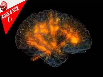 Nancy C. Andreasen _ Cesur Yeni Beyin (Brave New Brain) 