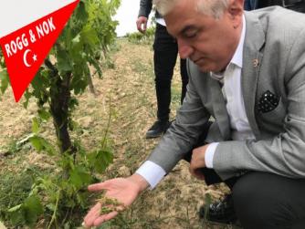 H. Teoman SANCAR: Denizli ve ilçelerini vuran dolu ve don büyük zarara yol açtı.