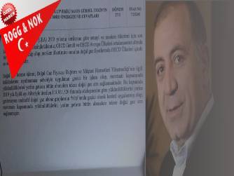 “ Türkiye, neden en pahalı doğalgazı alıyor?”