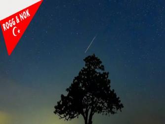 NASA uyardı: ‘Potansiyel olarak tehlikeli’ bir göktaşı Dünya’ya yaklaşıyor