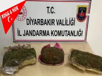 Dedektör köpek tepki vermesin diye uyuşturucunun yüzeyini kahve ile sıvamışlar