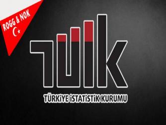 TÜİK: Tasarruf etme ihtimali endeksi rekor seviyeye ulaştı