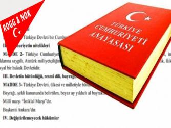 Vatandaş NAZIM PEKER: Anayasa Oyunu