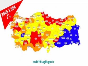 Haluk Dura: Korona risk haritası ?