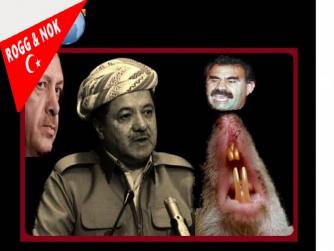  Bu ne perhiz bu ne lahana turşusu! Bizimkiler kendilerinin yaptıklarına bakmadan, unutturarak psikolojik algılama için  Papa için bastırılan pullarla ilgili açıklama bekliyorlarmış.