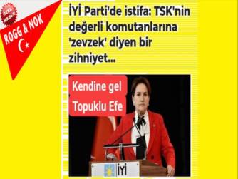 Vatandaş MERAL AKŞENER E TEPKİ