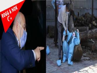 Son 17 günde ölmek bile şüpheli görünecek.... Yalaka, Yavşak İçişleri sekreterliğinden ilginç bir 'sokağa çıkma kısıtlaması' açıklaması var...