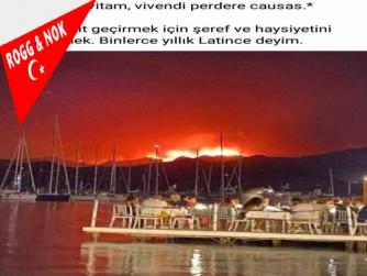 İnşallah yağmur yağar da yangınlar söner