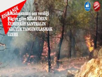 MİLAS YANIYOR ÖREN YANIYOR Acil müdahale gerekiyor