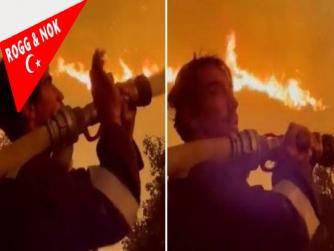 Yaşamak bir ağaç gibi tek ve hür ve bir orman gibi kardescesine beni senmi yarattın ecel oldun ömrüme Yangın katliamına yuuuuuuuuhhhhhhhhh