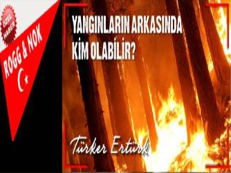 YANGINLARIN ARKASINDA KİM OLABİLİR?