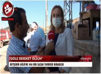 Beyşehir Gölü'ne 900 Bin Sazan Yavrusu Salındı