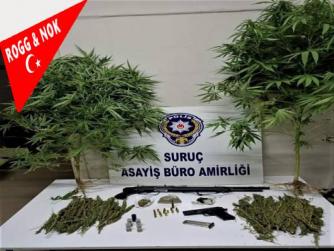 Şanlıurfa'da uyuşturucu operasyonunda 1 şüpheli yakalandı