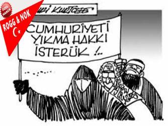 DİB “LAİKLİK” KAVRAMINI HEDEF ALARAK ANAYASAL SUÇ İŞLİYOR