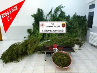 Tavuk çiftliğini ve evini uyuşturucu imalathanesine çevirdi