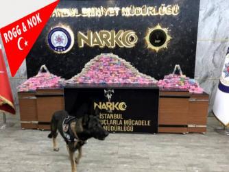 İstanbul polisinden 7 kentte uyuşturucu operasyonu: Çete lideri Suriye'ye kaçarken yakalandı 10.09.2021 